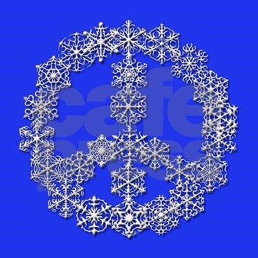 Meet your Posher, Lyn